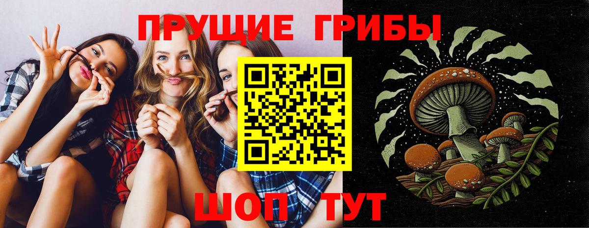 Галлюциногенные грибы Cubensis Ачхой-Мартан
