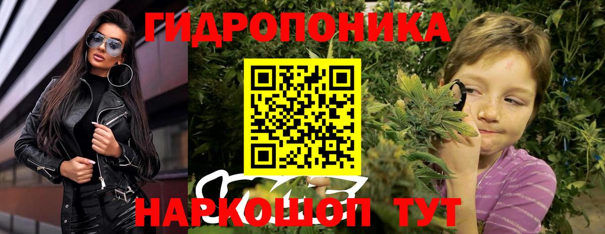 Канабис ГИДРОПОН  Бошки Шишки планчик  Ачхой-Мартан  Вход с VPN 